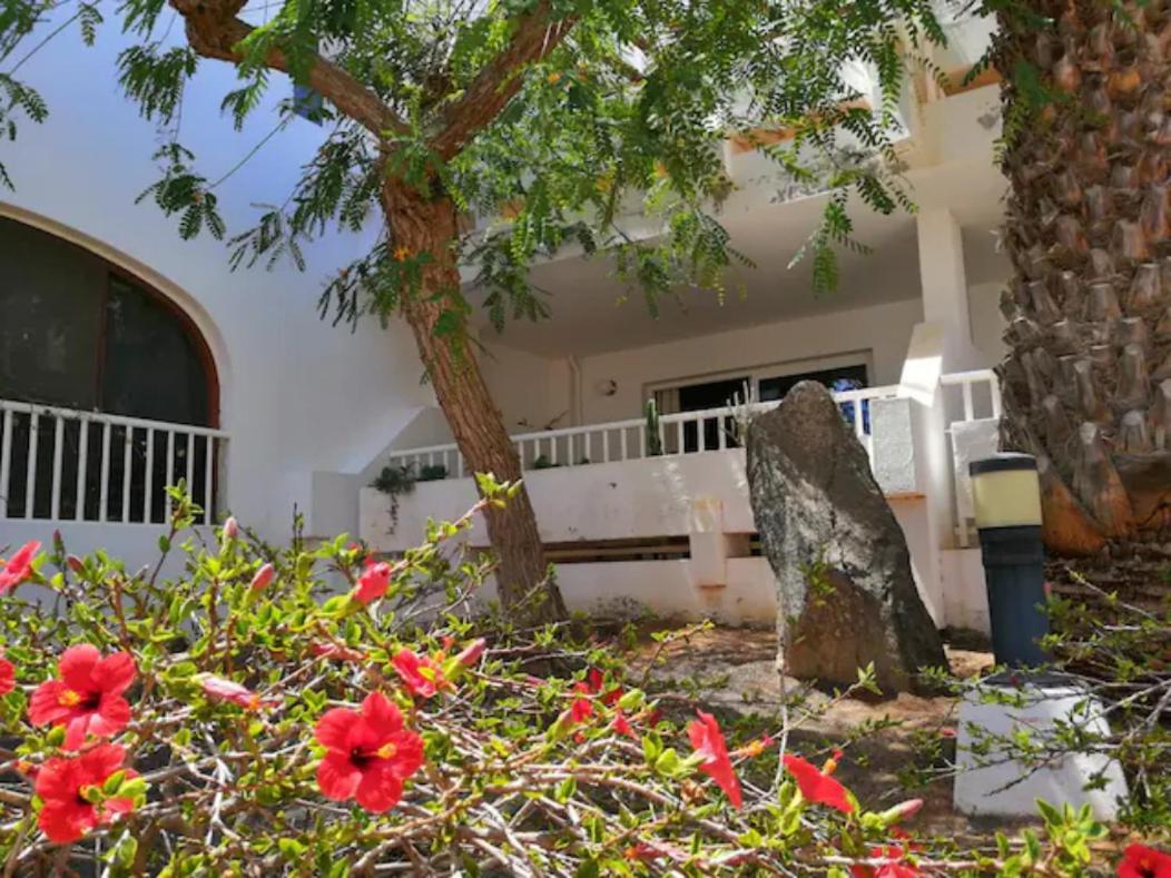 Comfortable Cleo Apartment With Large Terrace Costa Teguise Εξωτερικό φωτογραφία