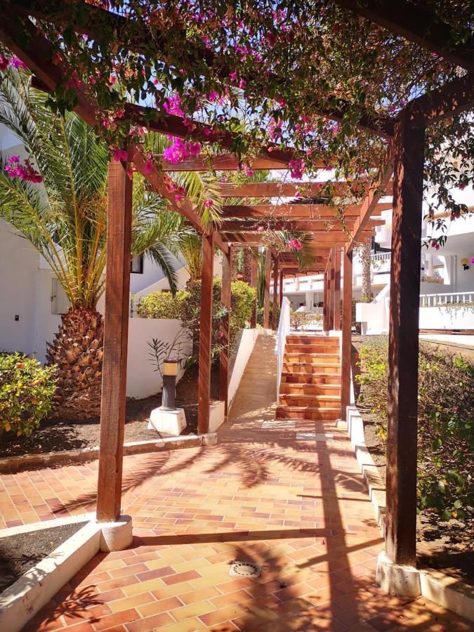 Comfortable Cleo Apartment With Large Terrace Costa Teguise Εξωτερικό φωτογραφία
