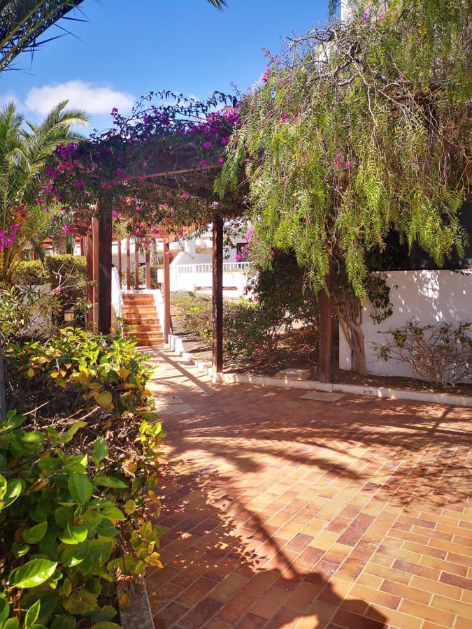 Comfortable Cleo Apartment With Large Terrace Costa Teguise Εξωτερικό φωτογραφία