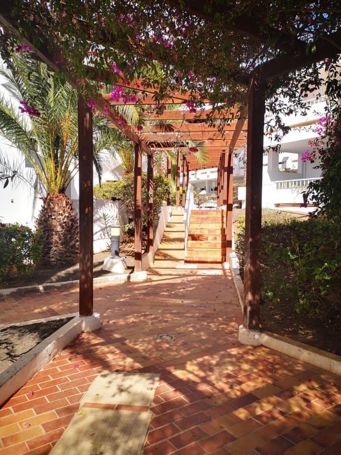 Comfortable Cleo Apartment With Large Terrace Costa Teguise Εξωτερικό φωτογραφία